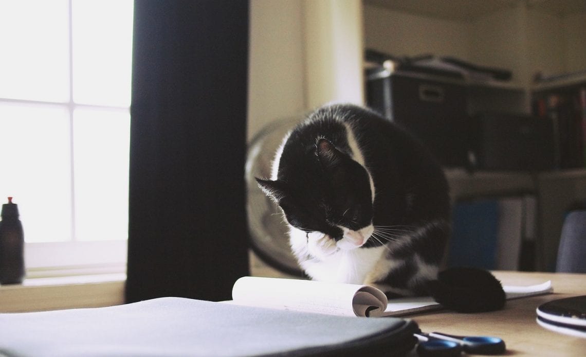 Каких отчетов не ждет Росстат за 2019 год